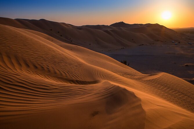 2-Day Overnight Desert Experience - From Salalah to the frankincense trees of Wadi Dawkha