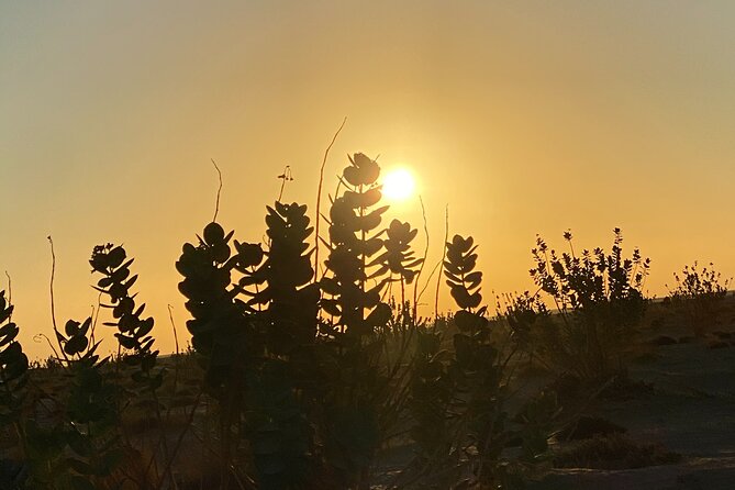 2-Day Overnight Desert Experience - Sunrise, coffee, and the return to Salalah