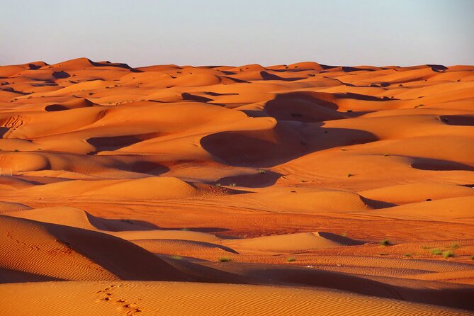 2 Day Private Trip to Two Oasis with Overnight Desert Camping - Why this two-day route works