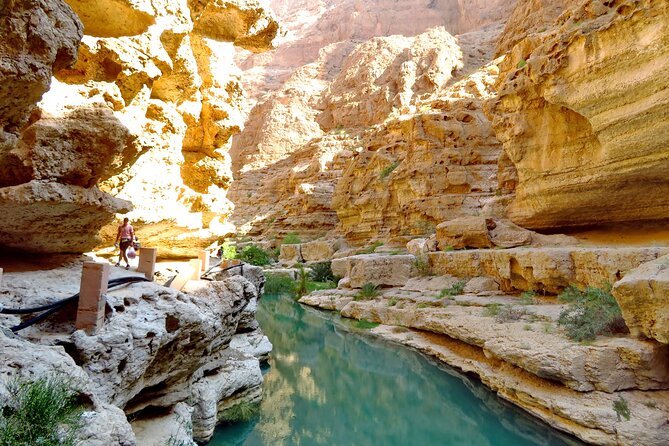 2 Day Private Trip to Two Oasis with Overnight Desert Camping - Sunrise in Wahiba Sands is worth the early start