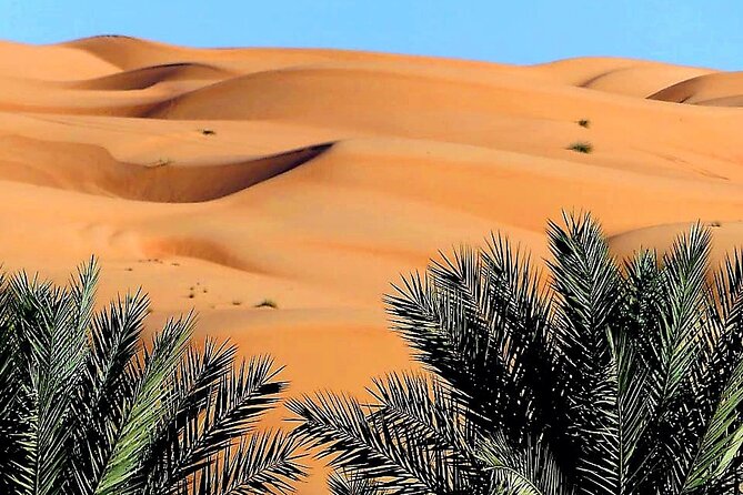 2-Day Private Wahiba Sands Desert Camping Tour from Muscat - A green pause at Wadi Tiwi