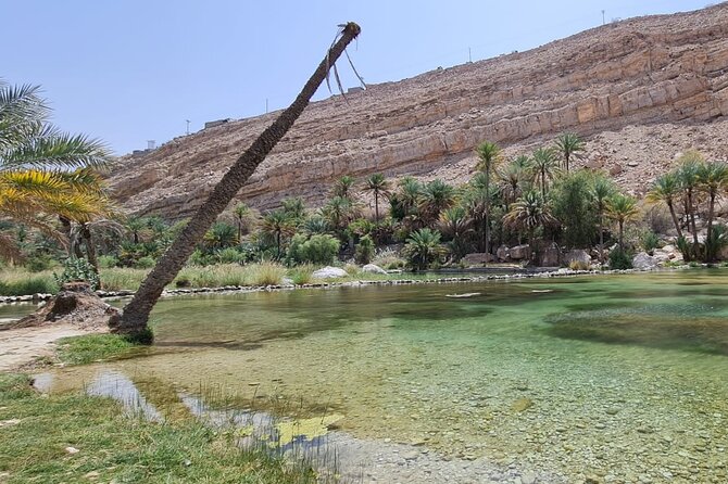 2-Day Private Wahiba Sands Desert Camping Tour from Muscat - Swimming at Wadi Bani Khalid