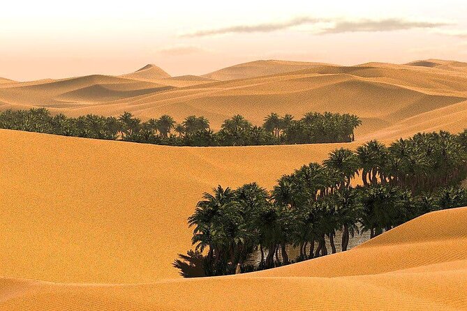 2 Days and 1 Night Private Wahiba Sands Desert Tour - Should you book the Wahiba Sands overnight tour?