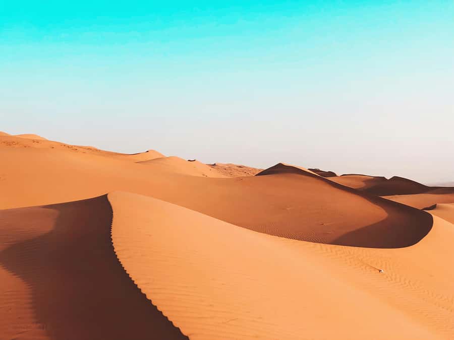 2 Days and 1 Night Private Wahiba Sands Desert with Wadi - Booking tips for a smoother two days