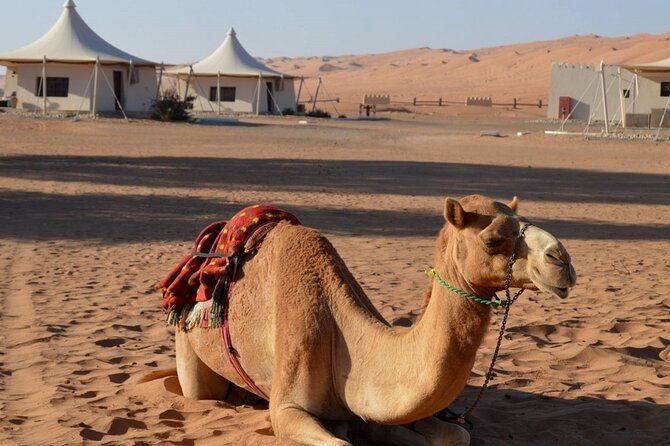 2 Days Desert Adventure Package - Jabrin and the culture of Oman’s interior