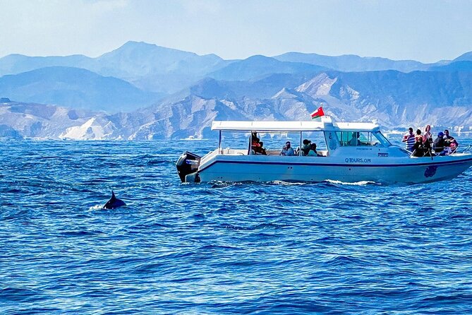 2 Hour Dolphin Watching Experience in Muscat - Weather, cancellations, and planning your booking