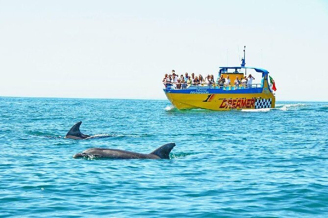 2 Hour Dolphin Watching Experience in Muscat - The first minutes on the Arabian Sea