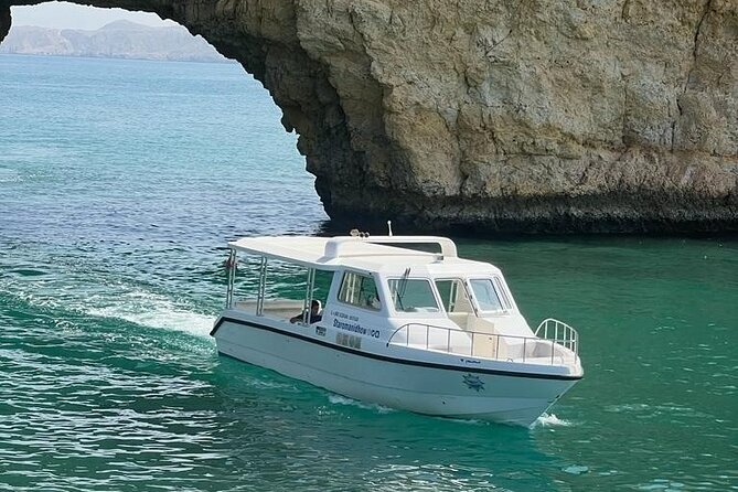 2 Hours Dolphin Watching Cruise in Muscat - Should you book the Dolphin Watching Cruise?
