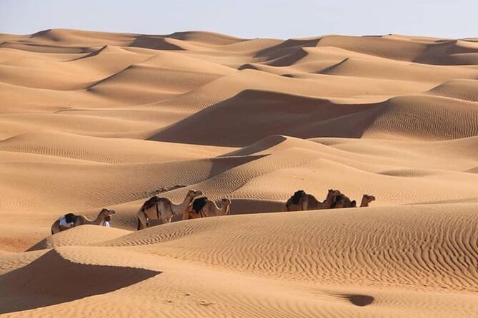 3-Days Private Tour in Oman with Pick Up - A farm stop before the pools of Wadi Bani Khalid
