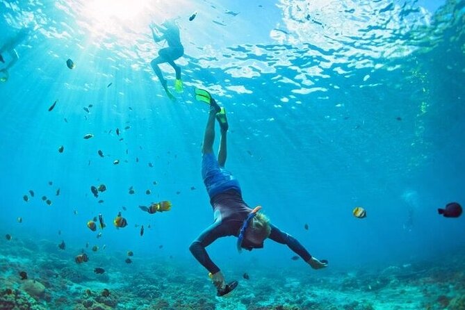 3 Hour Snorkeling and Dolphin Watching Experience in Muscat - Dolphins first, snorkeling second, and a return to Muscat