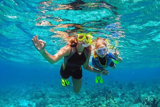 3 Hour Snorkeling and Dolphin Watching Experience in Muscat - How to prepare for a better morning