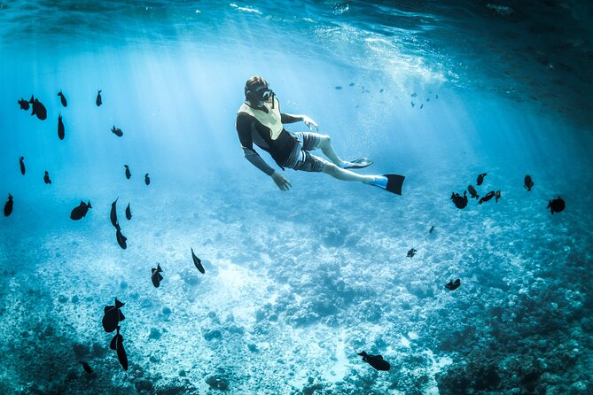 3-Hr Private Snorkeling and Dolphin Watching Tour at Muscat - Key points to know before booking