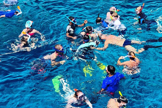 3-Hr Private Snorkeling and Dolphin Watching Tour at Muscat - Timing, meeting point, and what to confirm