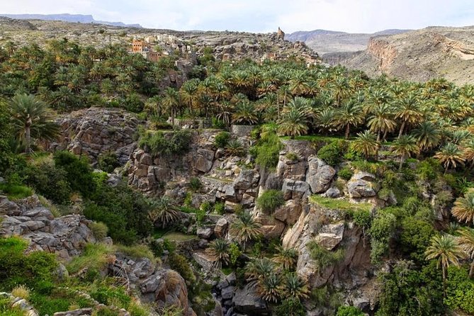 5 Days Package TOUR DINA - Day 4: Nizwa Souq before sunrise and the climb to Jebel Shams