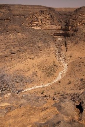 5 Hours of Salalah City Best | Private Tour - Key points at a glance