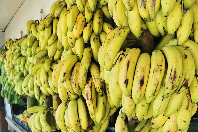 5 Hours of Salalah City Best | Private Tour - Haffa Souq, where Salalah’s signature scent comes alive