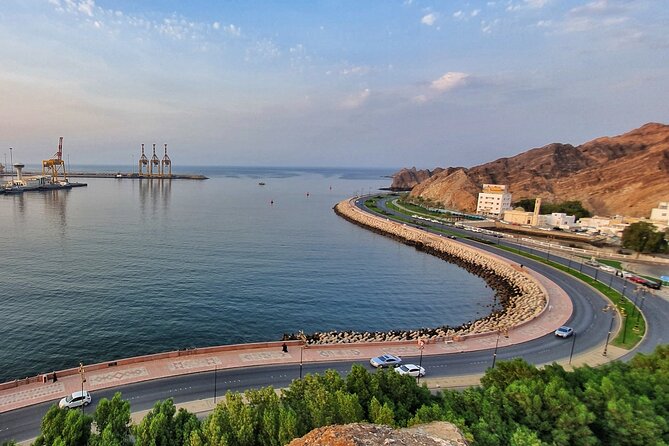 5 Hours Private Tour in Muscat City - Qurum Park and a possible change of pace