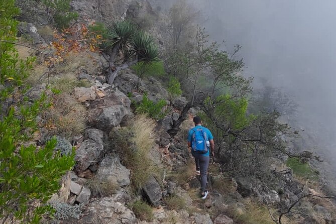 6 Hours Private Hiking in Salalah Mountains - What the private format is worth at $103.50