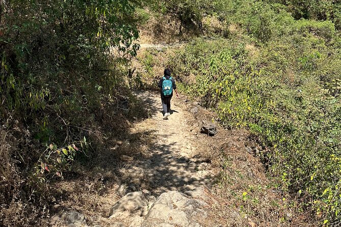 6 Hours Private Hiking in Salalah Mountains - What to bring for the spring and forest