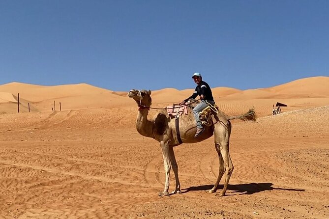 7-8 Hours Private Desert Adventure Trip with Activities - A big desert day from Muscat