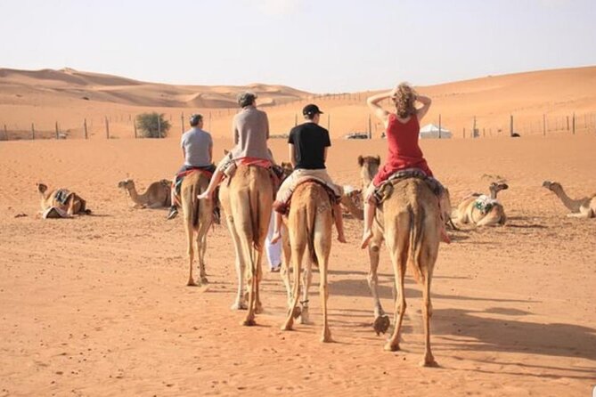 7-8 Hours Private Desert Adventure Trip with Activities - Quad biking across the sand