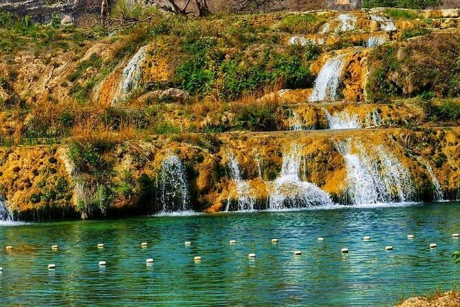 8 Hours of Salalah Best: East & West Private Tour - Wadi Darbat, Salalah’s greenest pause