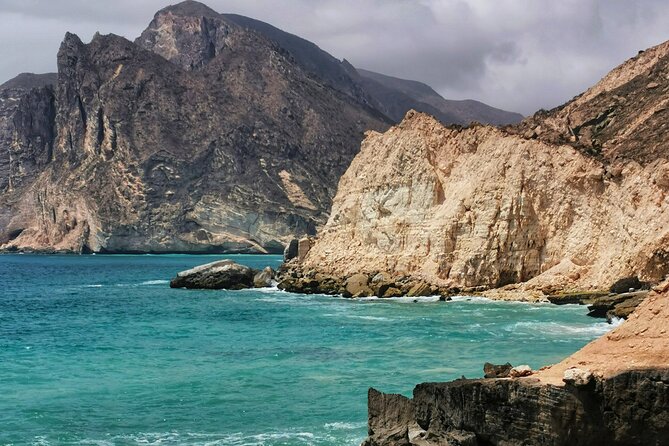 8 Hours of Salalah Best: East & West Private Tour - Frankincense trees in their natural setting