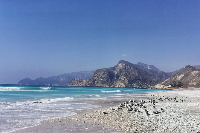 8 Hours of West Salalah Best | Private Tour - Why Fazayah Beach deserves the long drive