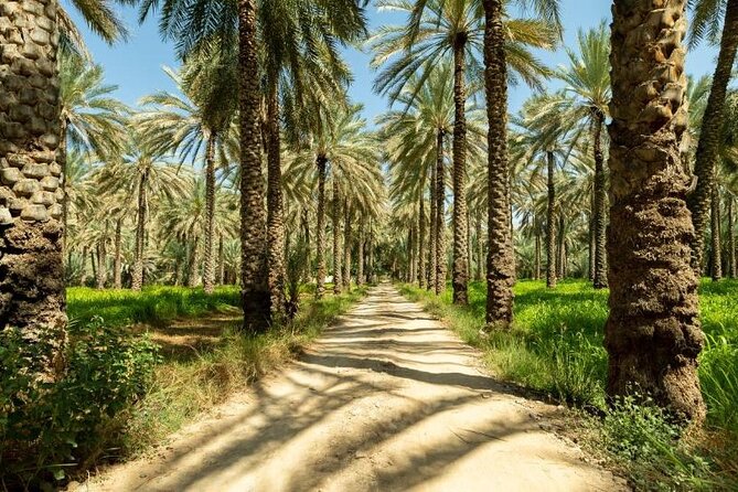Amouage & Nizwa Full-Day Tour: Fort, Souq & Barakat Al Mouz - The $165 price, plus the fort ticket