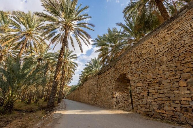 Amouage & Nizwa Full-Day Tour: Fort, Souq & Barakat Al Mouz - Who should book this Nizwa day trip