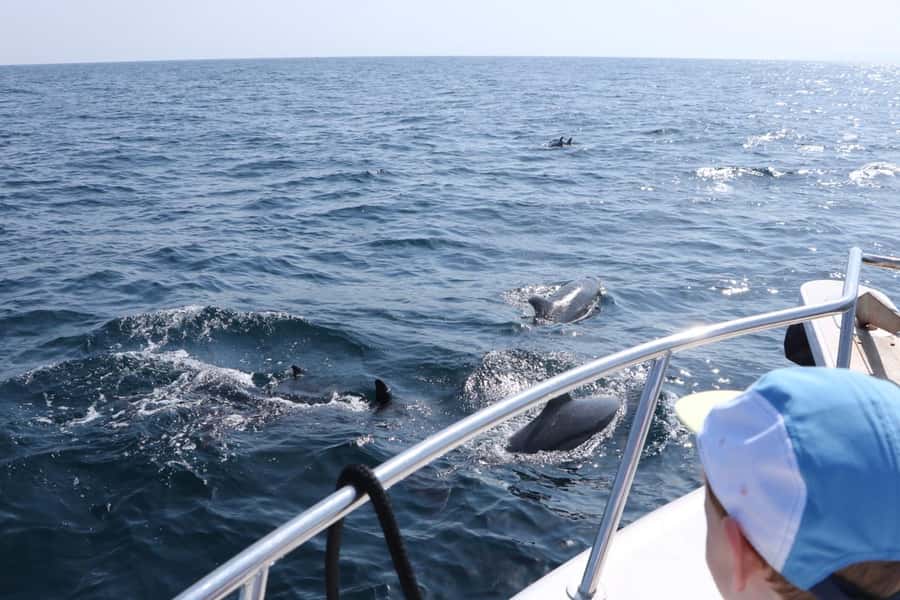 Bandar Al Khayran Jorney: Group Tour with Snorkeling - Bandar Al Khayran or Muscat Bay on the day