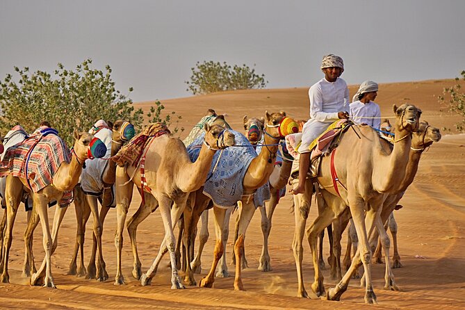 Bediyah: Camel Safari through the Wahiba Sands Desert - Riding into the Wahiba Sands from Bidiyah
