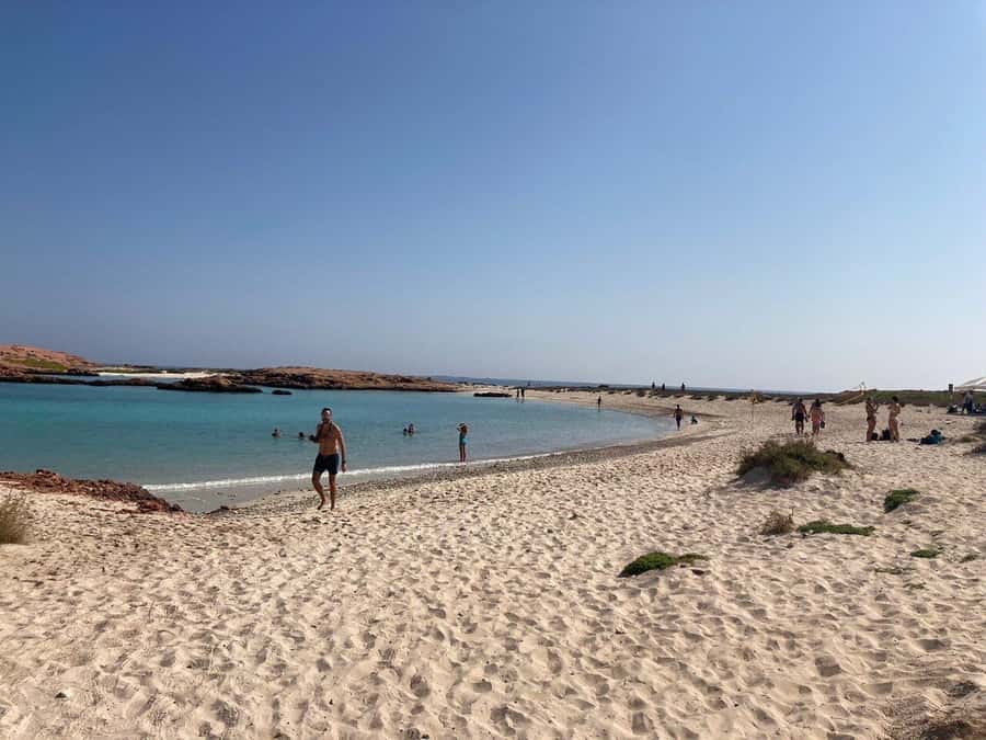 Camping to the Daymaniyat Islands with an overnight stay - Night skies, campfire hopes, and bioluminescence