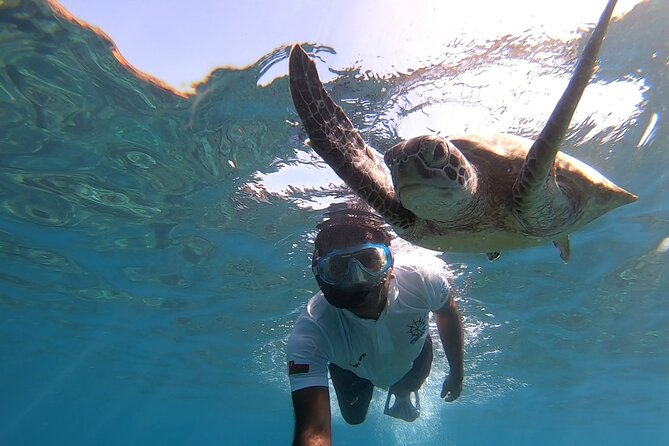 Cruises to Daymaniyat & Snorkeling - Two snorkeling stops with turtles and reef fish
