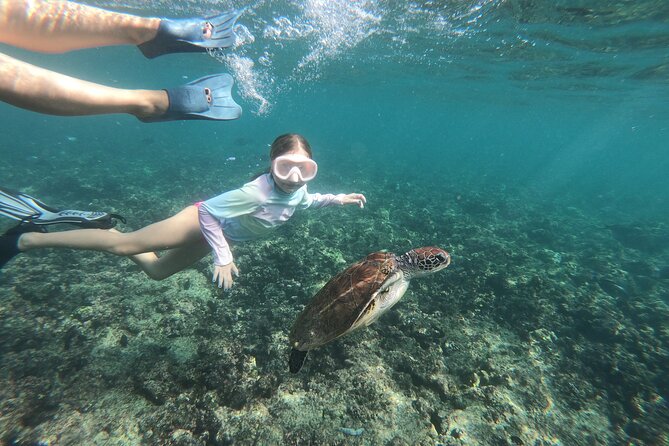 Cruises to Daymaniyat & Snorkeling - Who will enjoy this outing most