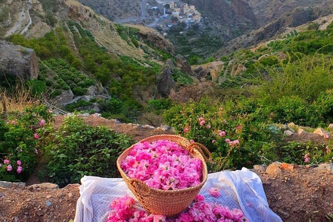 Damascus Roses - Discover the secrets of Al Jabal Al Akhdhar - Key Points to Know Before You Book