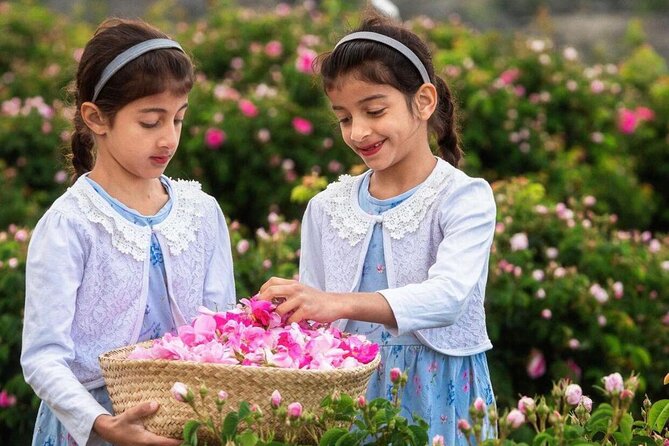 Damascus Roses - Discover the secrets of Al Jabal Al Akhdhar - How the Local Rose Distillation Works in Practice