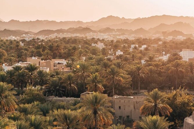 Day Tour to the Enchanting Forts of Nizwa - Jabreen Castle and the finest interiors of the day