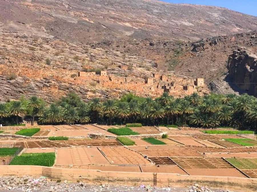 Day Trip to Jabal Shams, Wadi Nakhar, Misfat Al Abriyeen - Why this mountain day is worth your time