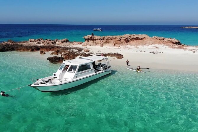 Daymaniyat island Natural Reserve and Dolphin Watching - Setting out from Muscat at 8:30 a.m.