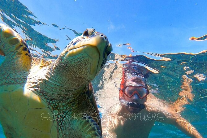 Daymaniyat island Natural Reserve and Dolphin Watching - First snorkeling stop: turtles, fish, rays, and coral