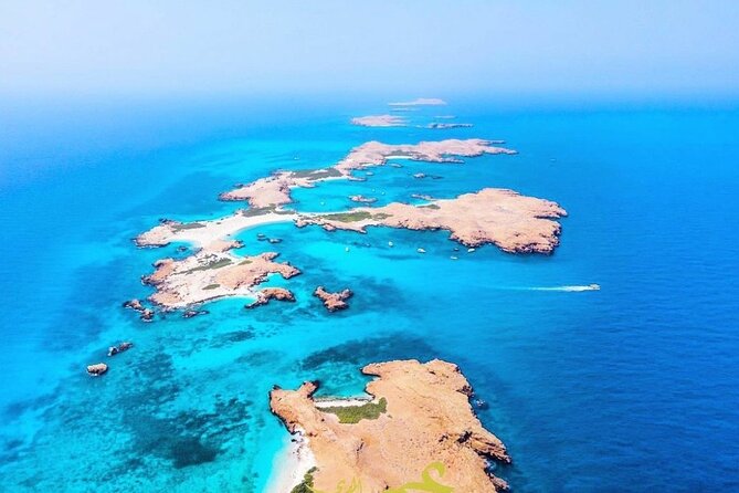 Daymaniyat island Natural Reserve and Dolphin Watching - The second snorkeling site