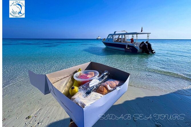 Daymaniyat island Natural Reserve and Dolphin Watching - What the $125 price really buys