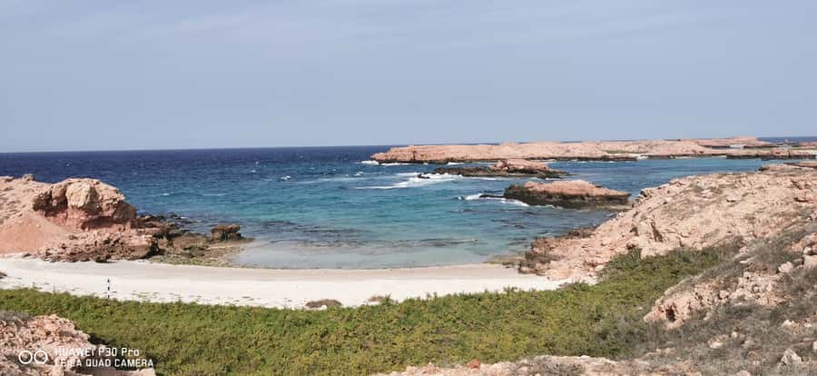 Daymaniyat Island: Snorkelling Tour with Tasty Lunch - What the guides do well