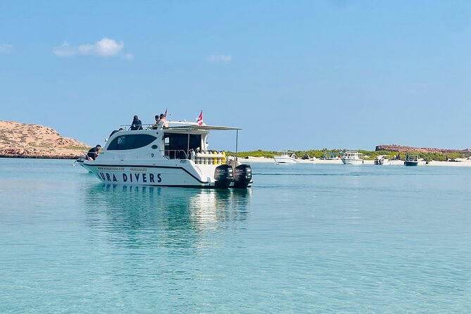 Daymaniyat Islands Snorkeling 2 different snorkeling sites and Lunch included - Key points before you book