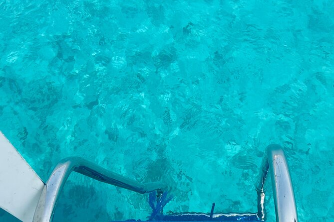 Daymaniyat Islands Snorkeling 2 different snorkeling sites and Lunch included - How the $100 price measures up