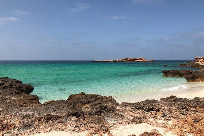 Daymaniyat Islands Snorkeling Half-Day Tour - Leaving from Al Mouj Marina