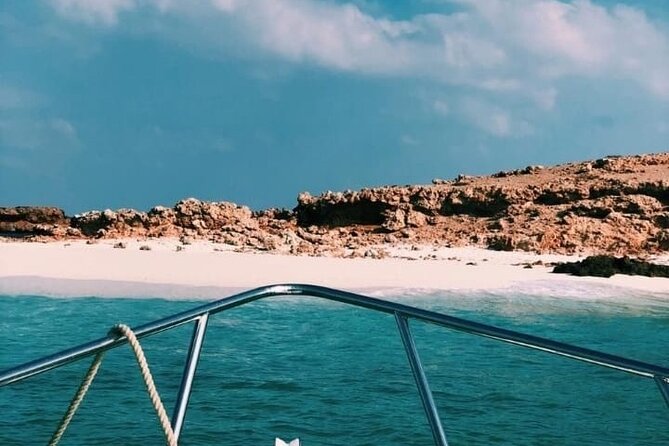 Daymaniyat Islands Snorkeling Half-Day Tour - Group size and the crowding question