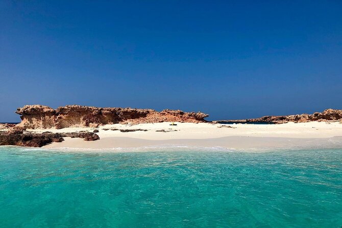 Daymaniyat Islands Snorkeling Half-Day Tour - Is $200 a fair price?