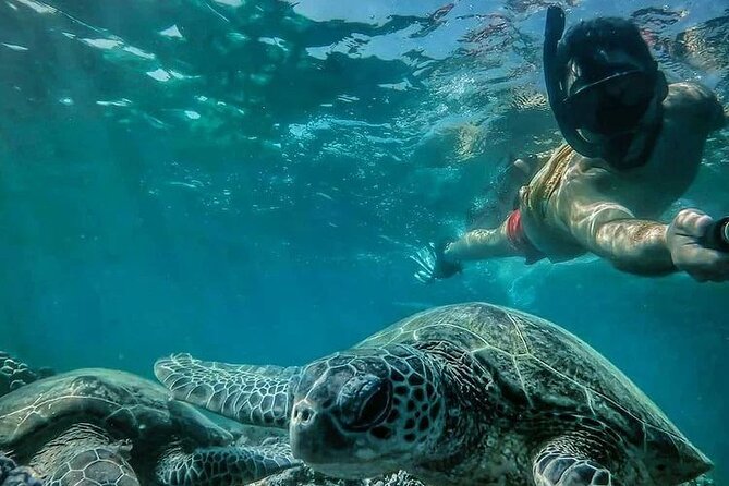 Daymaniyat Islands Snorkeling Half-Day Tour - What the four to five hours look like